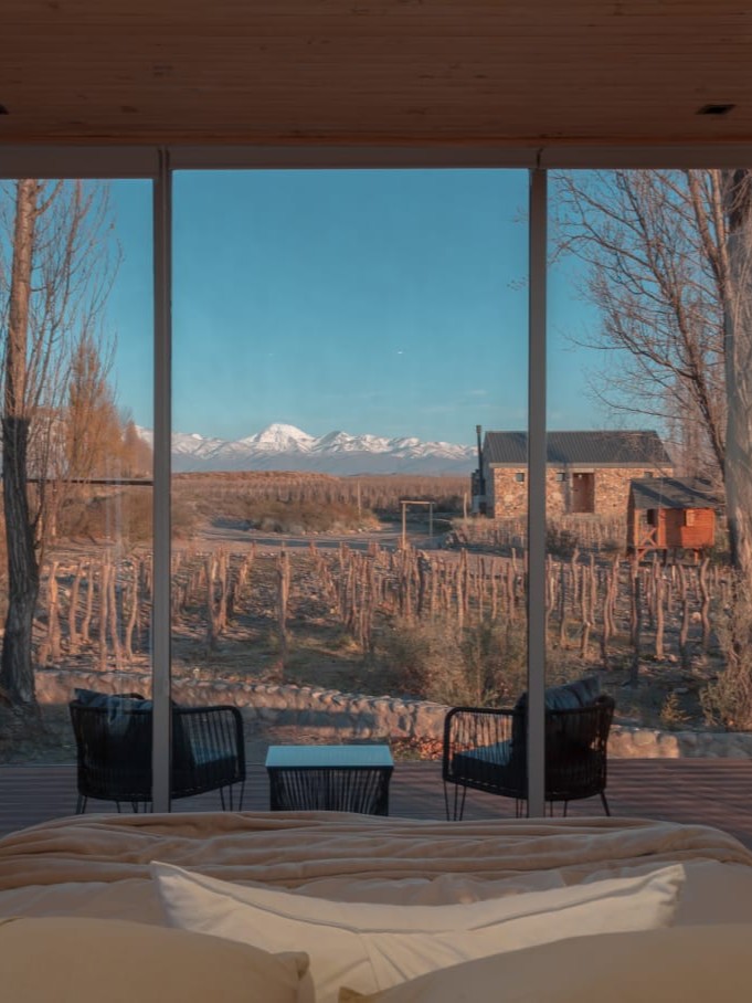 MENDOZA - VIAJE AL CORAZON DEL VINO - Imagen 4