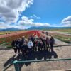 DESCUBRE LA MAGIA DE LOS TULIPANES, LAGOS Y MONTAÑAS EN EL SUR