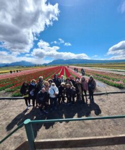 DESCUBRE LA MAGIA DE LOS TULIPANES, LAGOS Y MONTAÑAS EN EL SUR