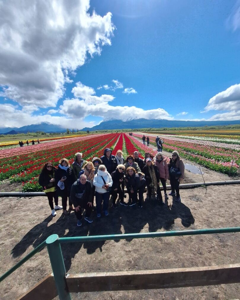 DESCUBRE LA MAGIA DE LOS TULIPANES, LAGOS Y MONTAÑAS EN EL SUR