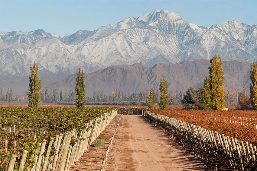 MENDOZA: SABORES Y CULTURA DEL VINO - Imagen 3