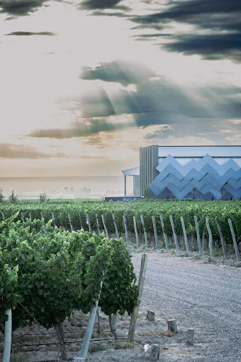 MENDOZA - VIAJE AL CORAZON DEL VINO - Imagen 10