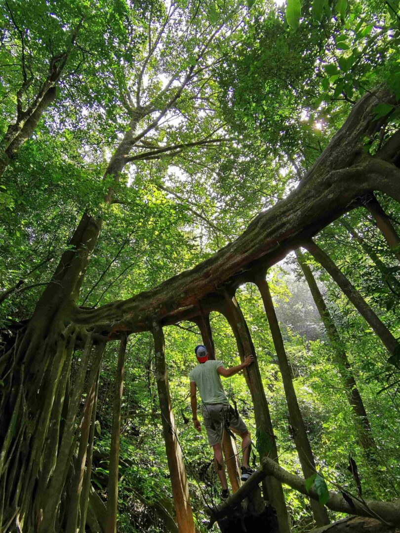 COSTA RICA: NATURALEZA, PLAYA Y CULTURA - Imagen 4