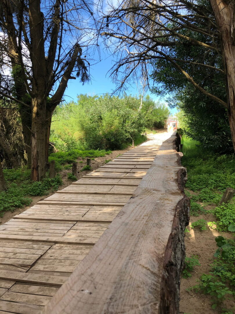 VERANO EN MAR DE LAS PAMPAS - Imagen 4