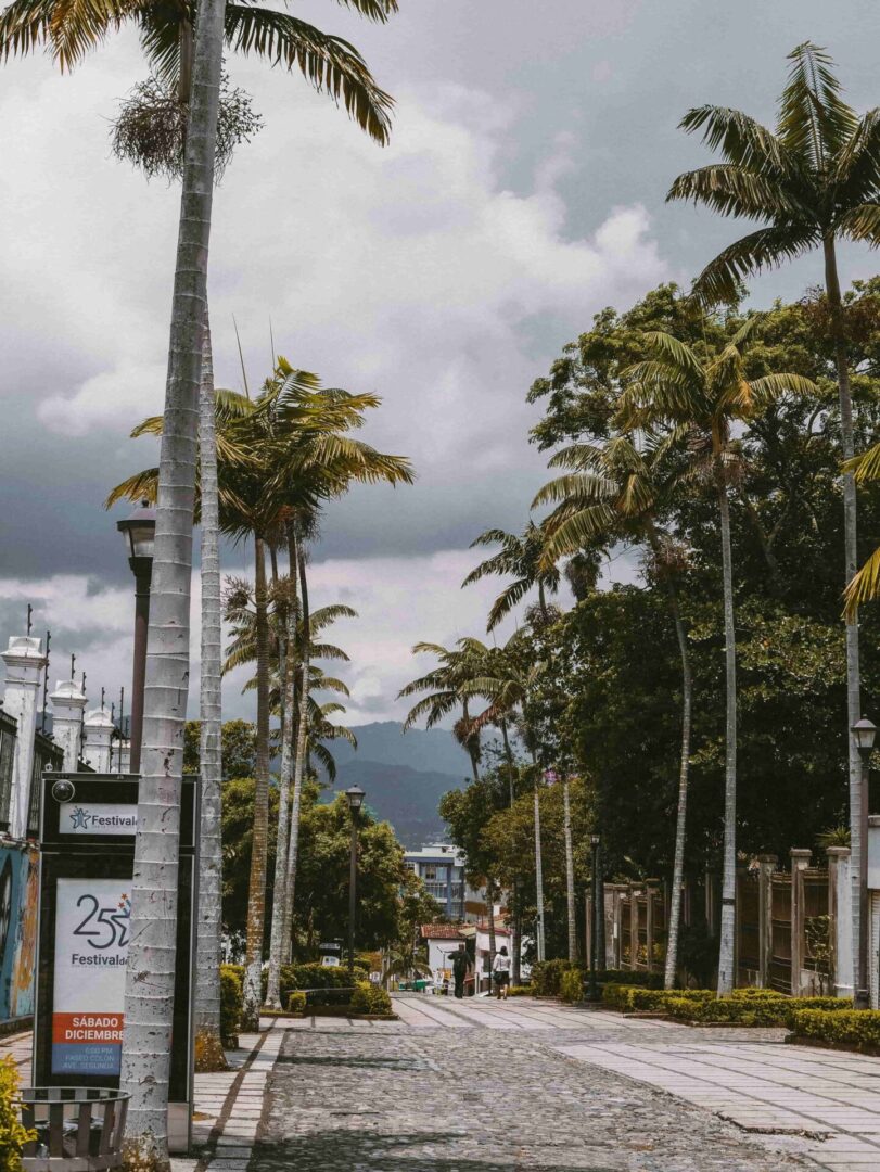 COSTA RICA: NATURALEZA, PLAYA Y CULTURA - Imagen 7