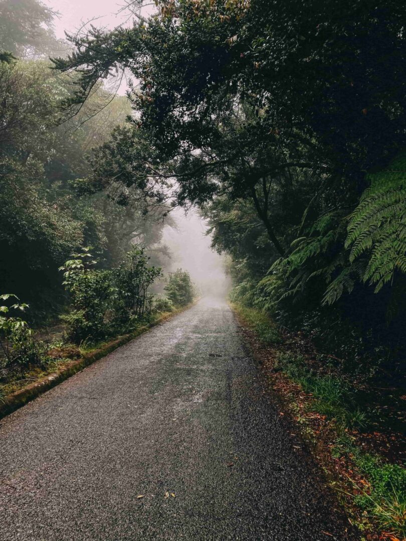 COSTA RICA: NATURALEZA, PLAYA Y CULTURA - Imagen 8