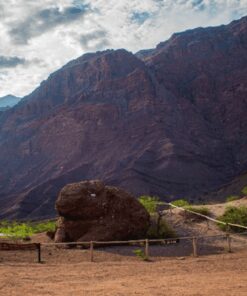 Alternative view of SALTA Y JUJUY EN PRIMAVERA