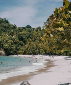 Alternative view of COSTA RICA: NATURALEZA, PLAYA Y CULTURA