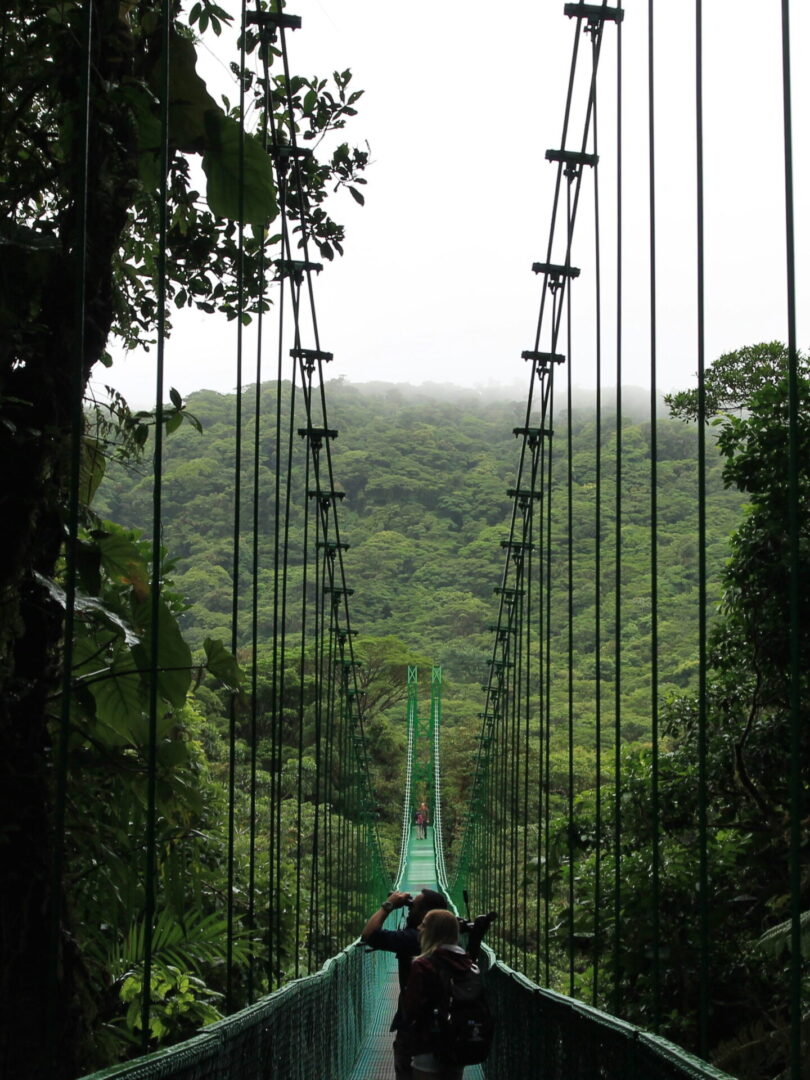 COSTA RICA: NATURALEZA, PLAYA Y CULTURA - Imagen 3