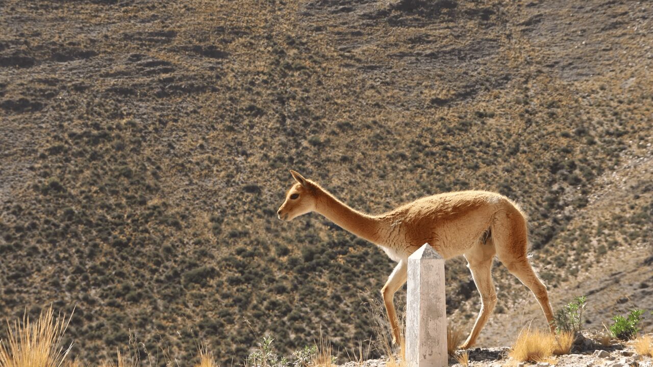 SALTA Y JUJUY EN PRIMAVERA - Imagen 6
