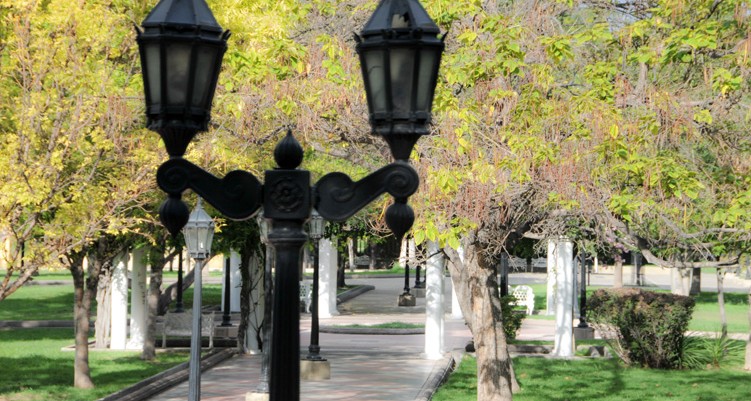 MENDOZA Y SAN RAFAEL: ENTRE VIÑEDOS Y MONTAÑAS - Imagen 6