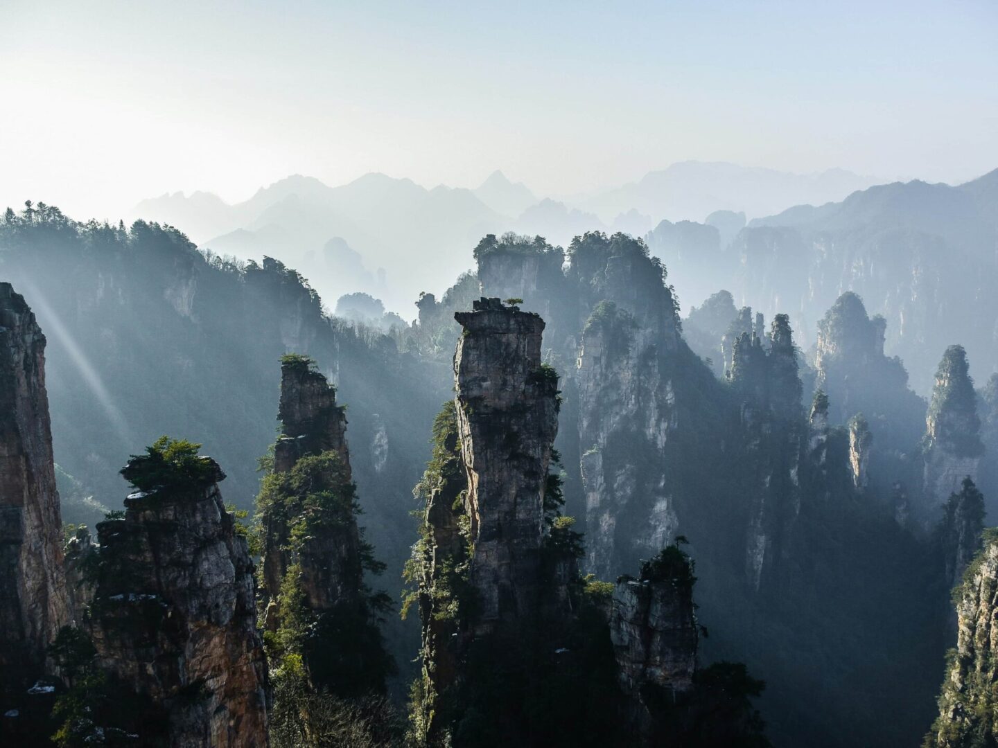 CHINA EXOTICA - PANDAS Y AVATAR - Imagen 13