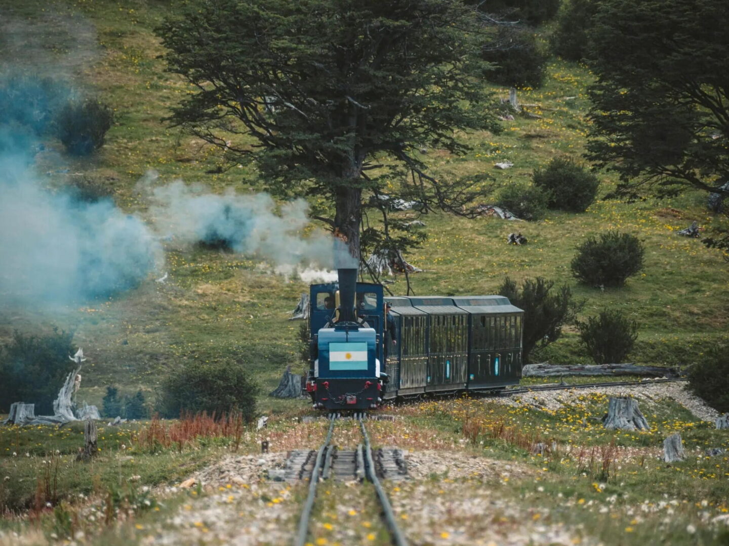 PURA AVENTURA EN USHUAIA Y CALAFATE - Imagen 6